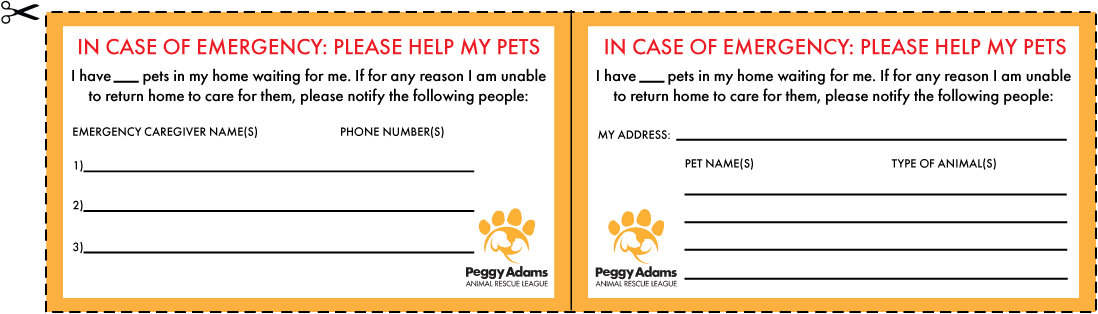 Planning For Your Pet's Future: Getting Started | Peggy Adams Animal Rescue  League